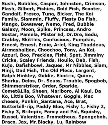 fish-names-433x500